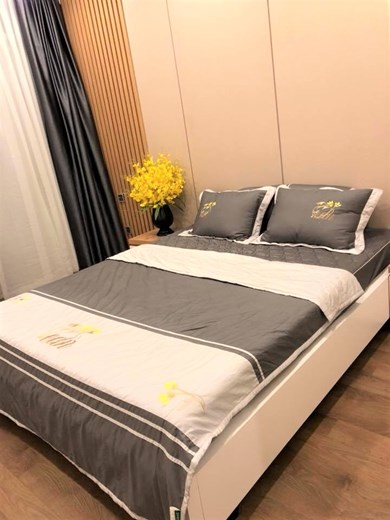 Apartment for rent BT105P1311 (6)
